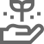 plant vector
